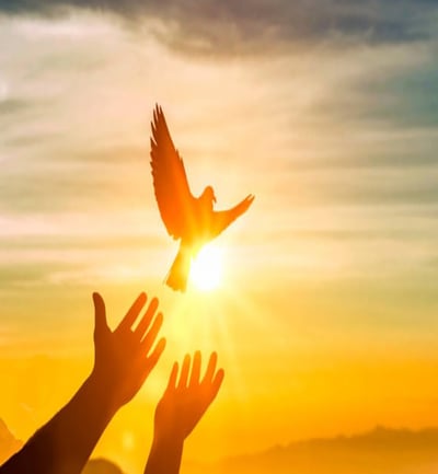 The Secret to Successful Decluttering: Declutter and Calm Your Mind First